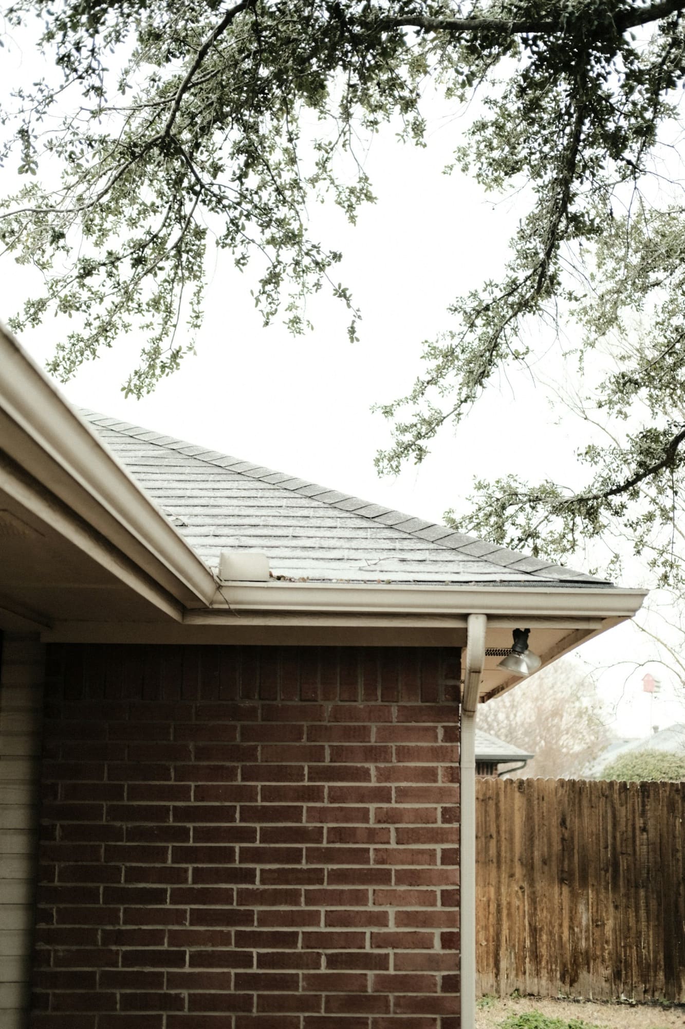 A brick home with an asphalt shingle roof and a mature tree overhead