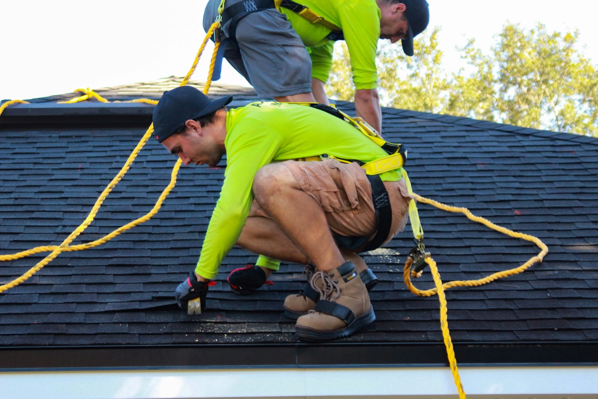 Two roofers in safety harnesses installing new architectural shingles